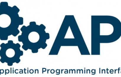 api-icon