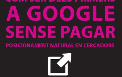 llibre_SEO
