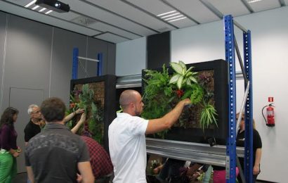 nou-curs-jardineria-vertical-5-octubre-bar-L-LCgvd4